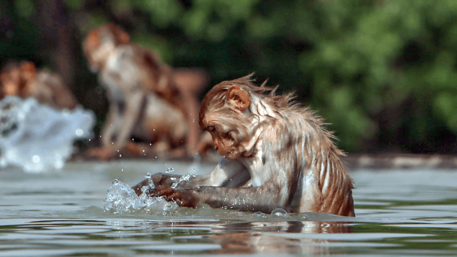 India records 97 of world’s 100 hottest cities amid severe heatwave