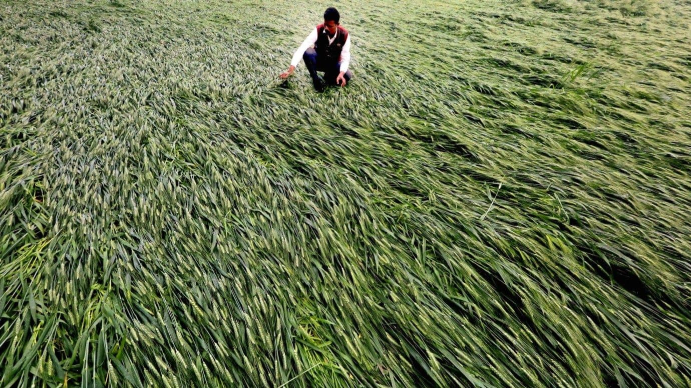 Kharif sowing is down 21% from last year | Representative image/ANI