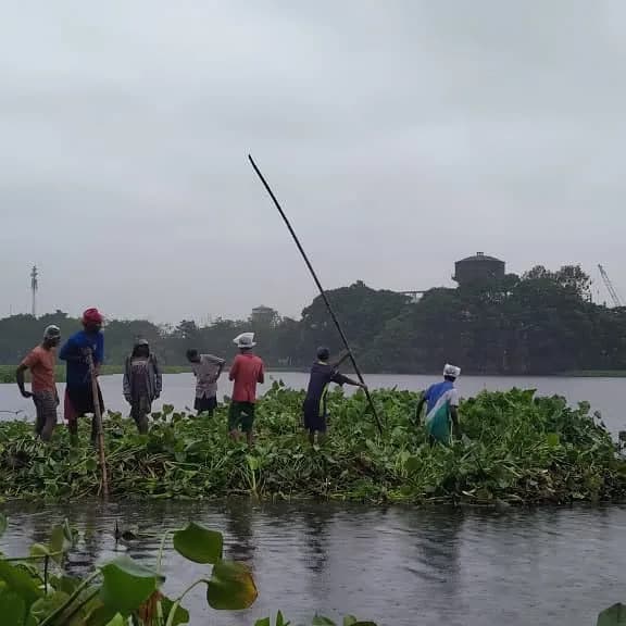 KMC restores Bikramgarh Jheel: Bhoomi’s Soumitra Ray hails cleanup of South Kolkata landmark. (X)