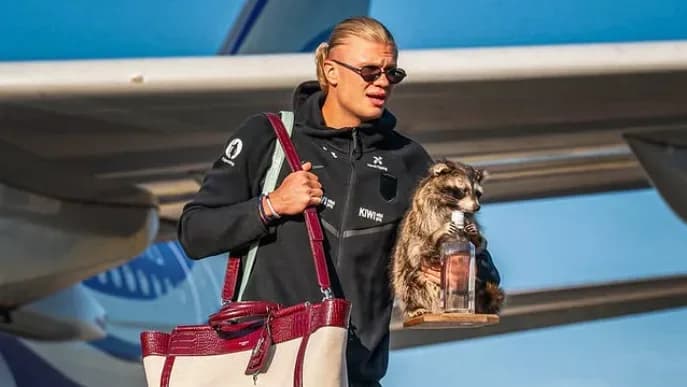 Why Erling Haaland Flew Home With A Taxidermied Raccoon