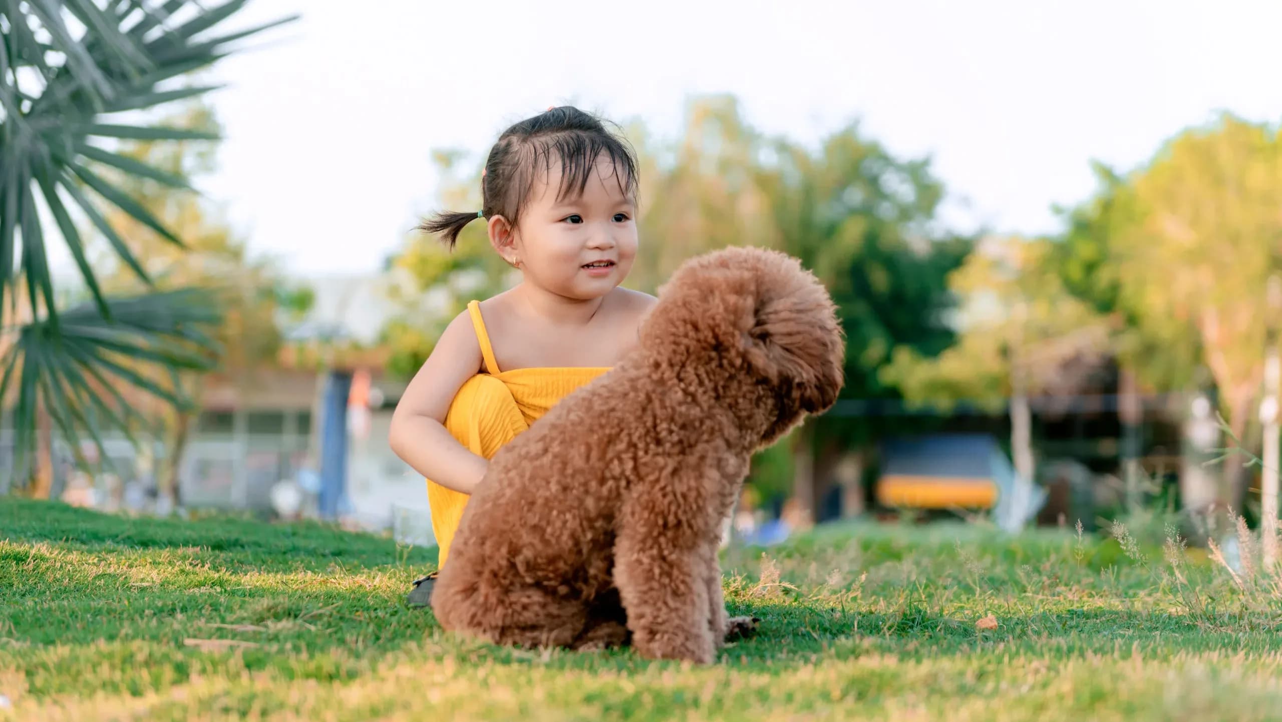 Japan now has more pets than children under 15: Here’s why
