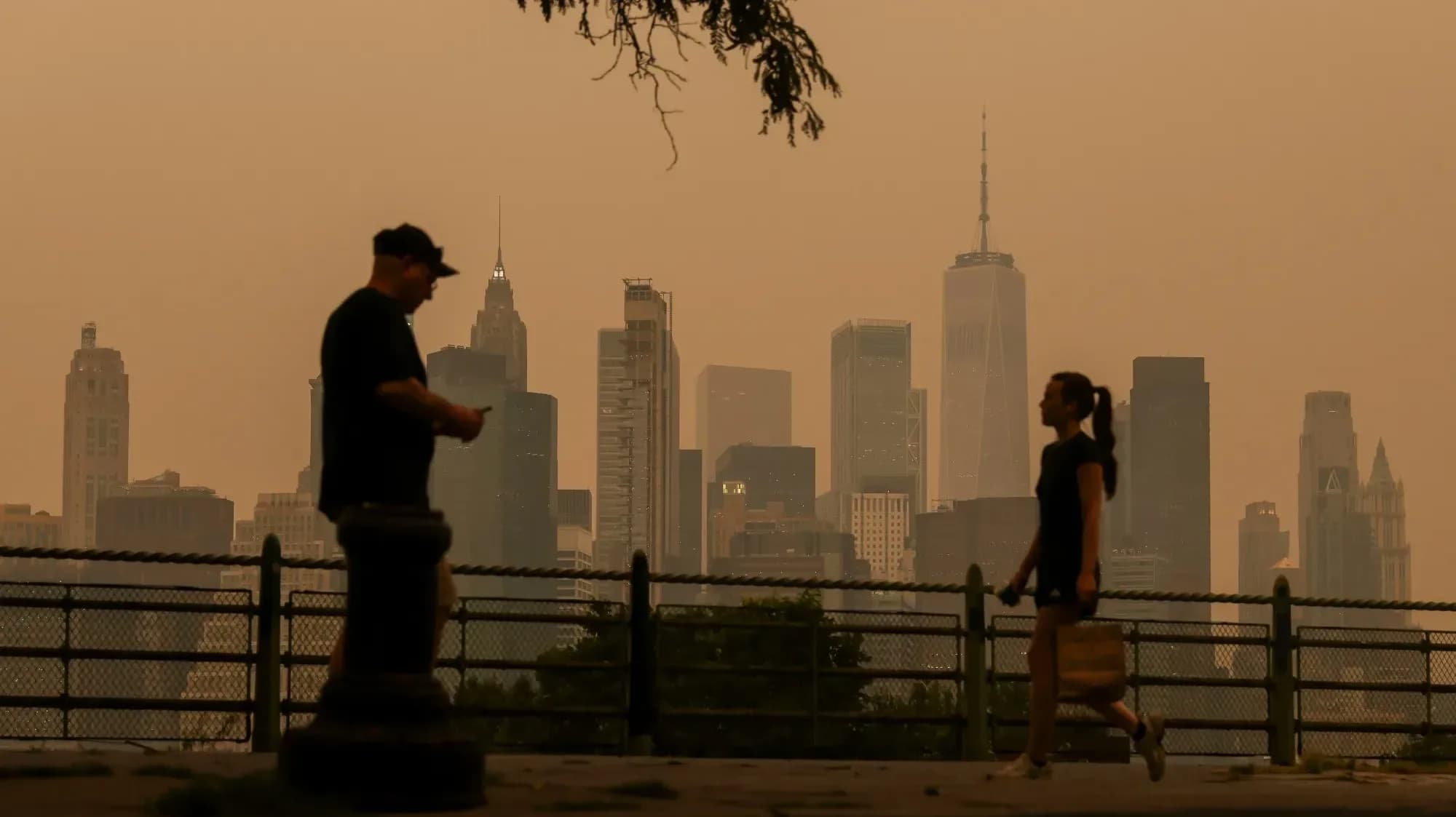 Trump blames Canada for wildfire smoke, warns of higher tariffs over pollution | X/@honorablesaint